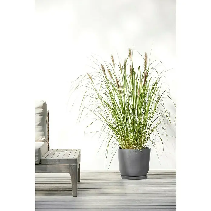 Ecopots Oslo Pflanztopf - Außenmaß (Ø x H): 25 x 21,8 cm, Kunststoff, Grau - Eine graue Pflanztopf mit Ziergras steht neben einem Beistelltisch. Ideal für drinnen oder draußen.