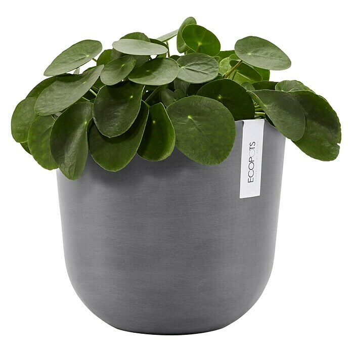 Ecopots Oslo Pflanztopf (Außenmaß (Ø x H): 25 x 21,8 cm, Kunststoff, Grau) | BAUHAUS