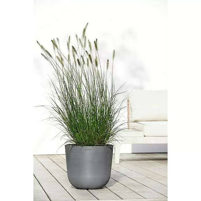 Ecopots Oslo Pflanztopf - Außenmaß (Ø x H): 35 x 30,5 cm, Kunststoff, Grau - Stimmungsaufnahme