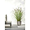 Ecopots Oslo Pflanztopf mit Wasserspeicher (Außenmaß (Ø x H): 25 x 21,4 cm, Kunststoff, Braungrau) | BAUHAUS