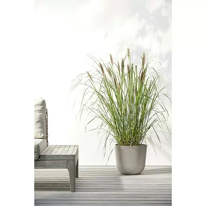 Ecopots Oslo Pflanztopf - Außenmaß (Ø x H): 25 x 21,8 cm, Kunststoff, Braungrau - Großer grauer Pflanzkübel mit hohem Ziergras auf einer Holzterrasse neben einem Outdoor-Sofa.