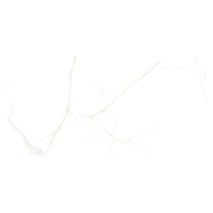 Granitogresne ploščice Marble Neo Cala  (60 x 120 cm, Bela/Zlata, Sijaj) | 4240 - Natursteinoptik | EAFA - Bodenfliesen | EAF - Fliesen | EA - Fliesen | E - Fliesen | BAUHAUS