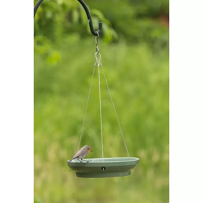CJ Wildlife Vogeltränke Vesi - Keramik, Grün - Grünes Hänge-Vogelfutterhaus mit einem Rotkehlchen am Rand.