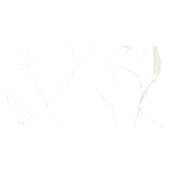 Granitogresne ploščice Marble Neo Cala  (60 x 120 cm, Bela/Zlata, Sijaj) | 4240 - Natursteinoptik | EAFA - Bodenfliesen | EAF - Fliesen | EA - Fliesen | E - Fliesen | BAUHAUS
