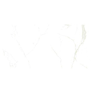 Granitogresne ploščice Marble Neo Cala (60 x 120 cm, Bela/Zlata, Sijaj)