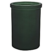 Spirella Yoko Vaso de encimera (Vidrio, Verde) | BAUHAUS