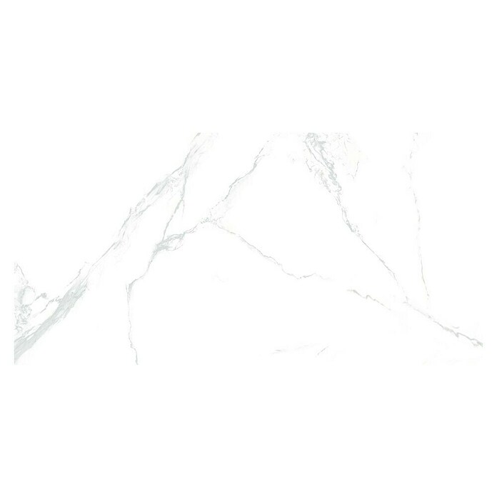Granitogresne ploščice Marble Neo Cala  (60 x 120 cm, Bela/Srebrna, Sijaj) | 4240 - Natursteinoptik | EAFA - Bodenfliesen | EAF - Fliesen | EA - Fliesen | E - Fliesen | BAUHAUS