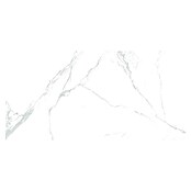 Granitogresne ploščice Marble Neo Cala  (60 x 120 cm, Bela/Srebrna, Sijaj) | 4240 - Natursteinoptik | EAFA - Bodenfliesen | EAF - Fliesen | EA - Fliesen | E - Fliesen | BAUHAUS