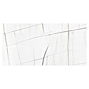 Granitogresne ploščice Marble Saphir  (60 x 120 cm, Bela, Sijaj) | 4240 - Natursteinoptik | EAFA - Bodenfliesen | EAF - Fliesen | EA - Fliesen | E - Fliesen | BAUHAUS