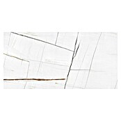 Granitogresne ploščice Marble Saphir  (60 x 120 cm, Bela, Sijaj) | 4240 - Natursteinoptik | EAFA - Bodenfliesen | EAF - Fliesen | EA - Fliesen | E - Fliesen | BAUHAUS