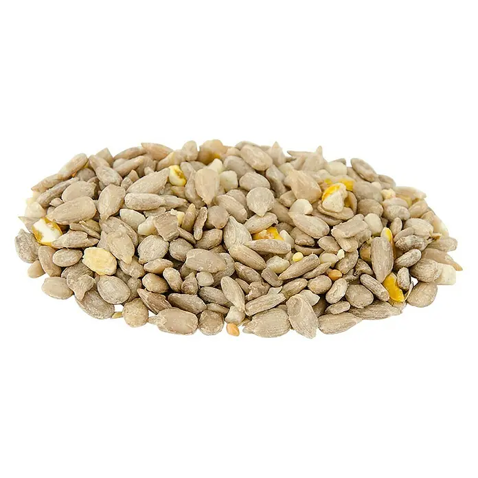 CJ Wildlife Wildvogelfutter - 1 kg, Schalenfrei - Abgebildete Sonnenblumenkerne und Maiskörner, eine nahrhafte Mischung für Vögel. Ideal für die Fütterung im Garten oder auf dem Balkon.
