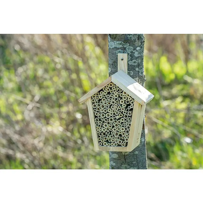 CJ Wildlife Bienenhaus Pinta - 11 x 17 x 19,7 cm, Holz, Natur - Ein hölzernes Insektenhotel mit zahlreichen Bambusröhren, das an einem Baum befestigt ist und Insekten Unterschlupf bietet.