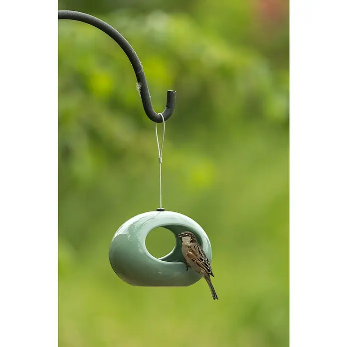 CJ Wildlife Vogeltränke Selo - 12 x 16 x 11 cm, Keramik, Grün - Vogelhäuschen mit einem kleinen Spatz darauf, der auf der Plattform des Häuschens sitzt. Es ist ein schönes und ruhiges Bild in der Natur.