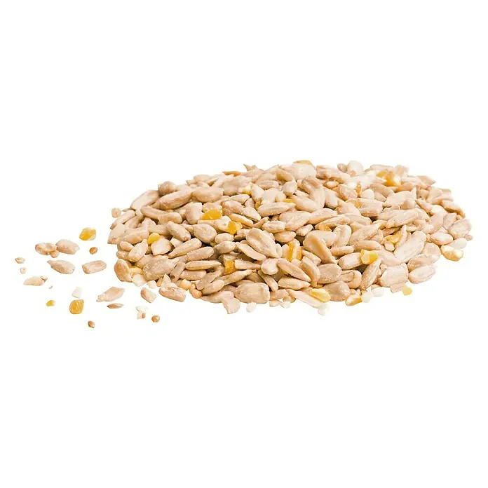CJ Wildlife Wildvogelfutter - 2 kg, Schalenfrei - Nahaufnahme von geschälten Sonnenblumenkernen mit gelben Maisstücken auf schwarzem Hintergrund.