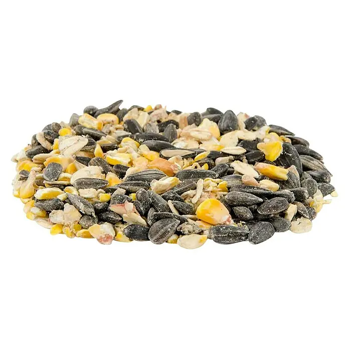 CJ Wildlife Wildvogelfutter - 2,5 kg - Nahaufnahme von Vogelfutter mit Sonnenblumenkernen, Mais und Haferflocken vor schwarzem Hintergrund.