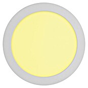 Eltra Smart led-plafondlamp, rond Qnect (Ø x h: 50 x 24 mm, 1.260 lm) | BAUHAUS
