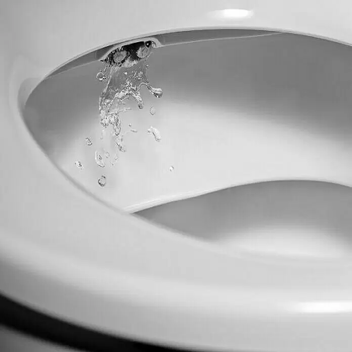 Dusch-WC-Sitz NB14 - Kunststoff, Weiß, Mit Absenkautomatik - Anwendungsbeispiel