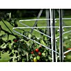 Vitavia Regalträger (2 Stk.)