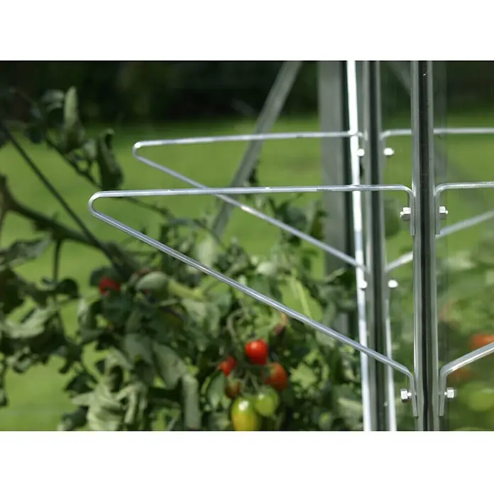 Vitavia Regalträger - 2 Stk. - Nahaufnahme von Tomatenpflanzenstützen aus Metall in einem Gewächshaus, ideal für den Anbau von gesundem Gemüse.