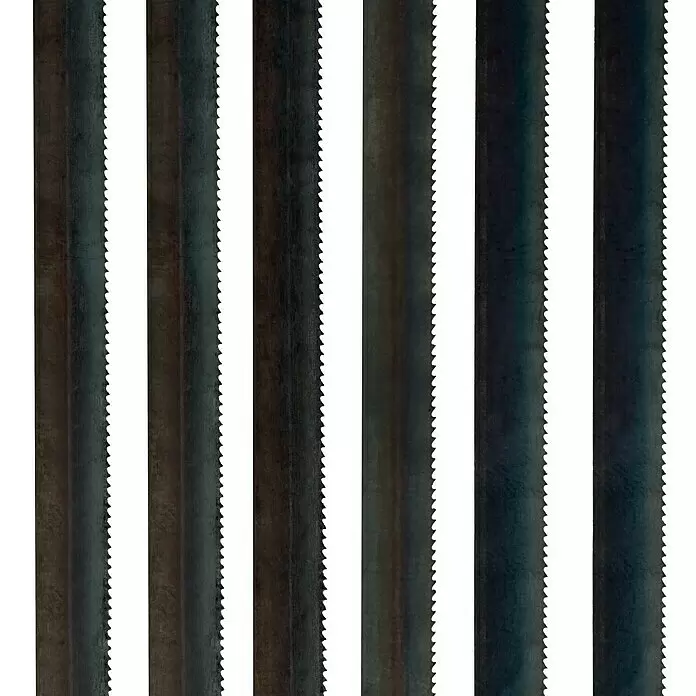Wisent Ersatz-Sägeblätter - HS-Stahl, Einsatzbereich: Metall, Blattlänge: 150 mm, 6 Stk. - Mehrere dunkle, gezackte Metallstreifen, die Sägeblättern ähneln.