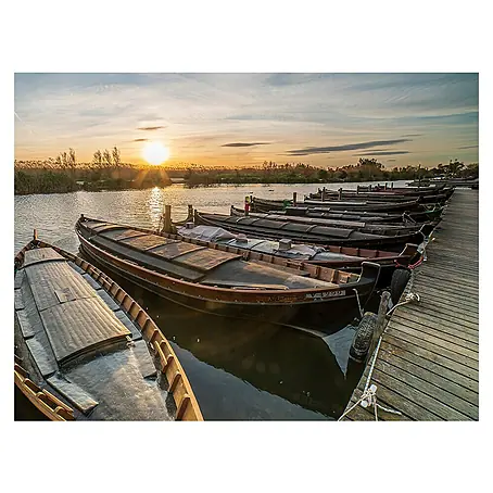 Póster Valencia Albufera