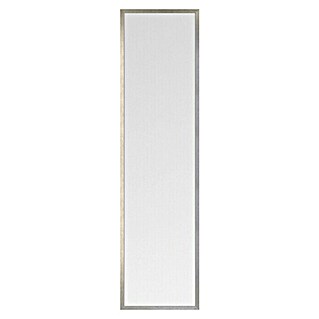 Espejo con marco Básico Plata (30 x 120 cm, Plateado)