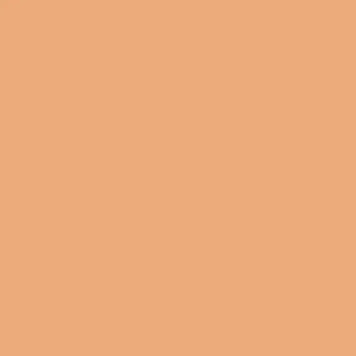 Alpina Wandfarbe Feine Farben - Baukunst der Sonne, Matt, 2,5 l, Konservierungsmittelfrei - Elegante, einfarbige Fläche in sanftem Pfirsich. Ideal als Hintergrund oder für minimalistische Designs.