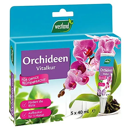 Westland  Vitalkur für Orchideen Set