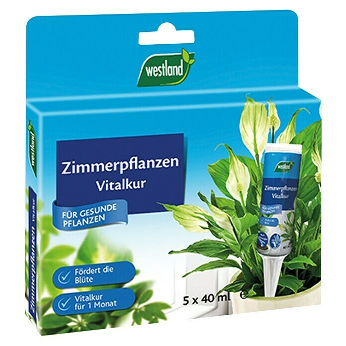 Westland Vitalkur Zimmerpflanzen (200 ml) | BAUHAUS