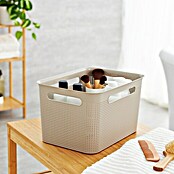 Rotho Aufbewahrungsbox Brisen (L x B x H: 36 x 26,2 x 21,1 cm, Polypropylen, Cappuccino)