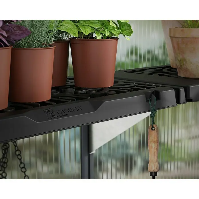 Palram – Canopia Zubehör-Set für Gewächshaus - Passend für: Palram - Canopia Gewächshaus Hybrid - Nahaufnahme eines schwarzen Canopia-Regals mit Pflanzen in Töpfen darauf, das im Garten oder Gewächshaus verwendet werden kann.