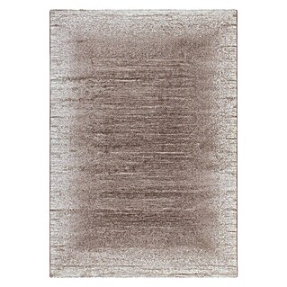 Kayoom Kurzflorteppich Stanley (Beige, 230 x 160 cm, 100 % Polypropylen-Heatset-Frisée)