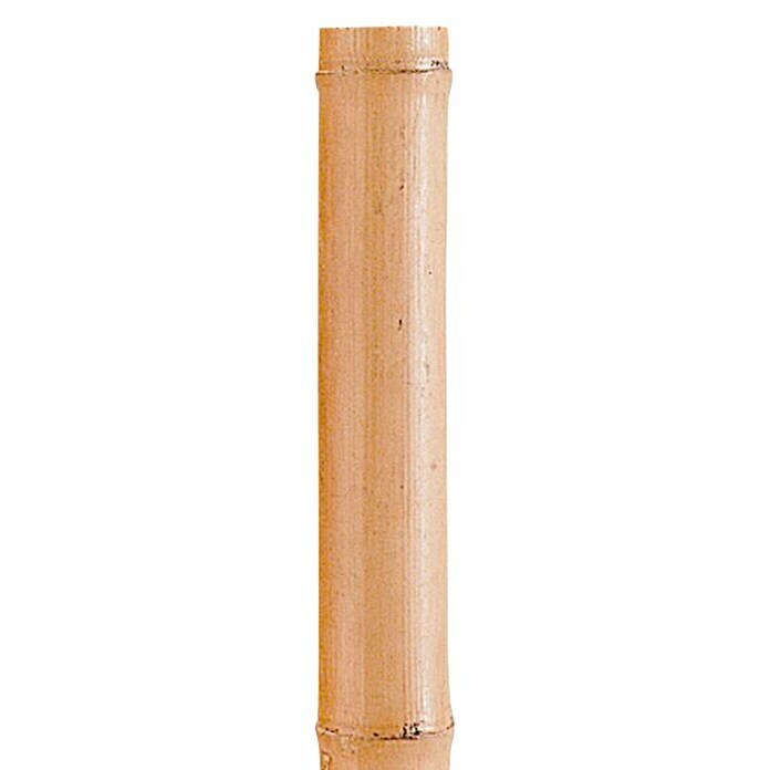 Nortene Tubo de bambú Deco (Largo: 180 cm, Diámetro: 60 mm - 70 mm)