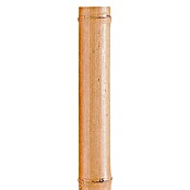 Nortene Tubo de bambú Deco (Largo: 240 cm, Diámetro: 35 mm - 40 mm)