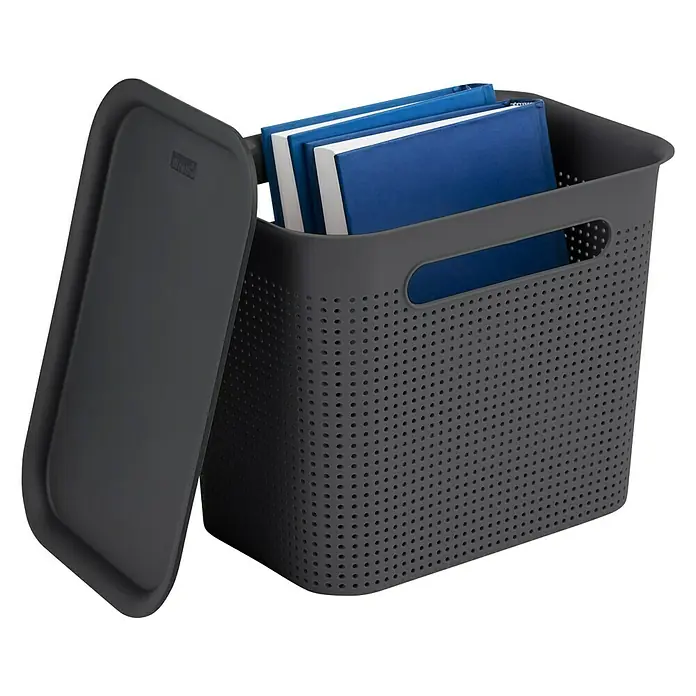Rotho Aufbewahrungsbox Brisen - L x B x H: 26,2 x 18 x 21,1 cm, Kunststoff, Anthrazit - Ein grauer Aufbewahrungskorb mit Deckel und Büchern. Ideal für die Organisation von Dokumenten im Büro oder zu Hause.