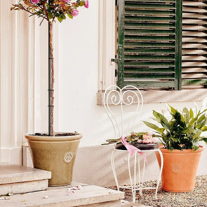 Maceta para planta Sarah - Dimensiones externas (Ø x Al): 35 x 30,5 cm, Otros, Colores surtidos - Arreglo floral con un rosal en maceta, silla blanca con rosas y planta de interior en un patio.