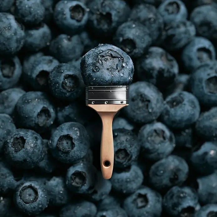 SCHÖNER WOHNEN-Farbe Wandfarbe Trendfarbe - Blueberry, Matt, 1 l, Konservierungsmittelfrei - Blaubeerfarben: Ein Pinsel, dessen Borsten durch eine saftige Blaubeere ersetzt wurden, liegt auf einem Bett aus frischen Blaubeeren.