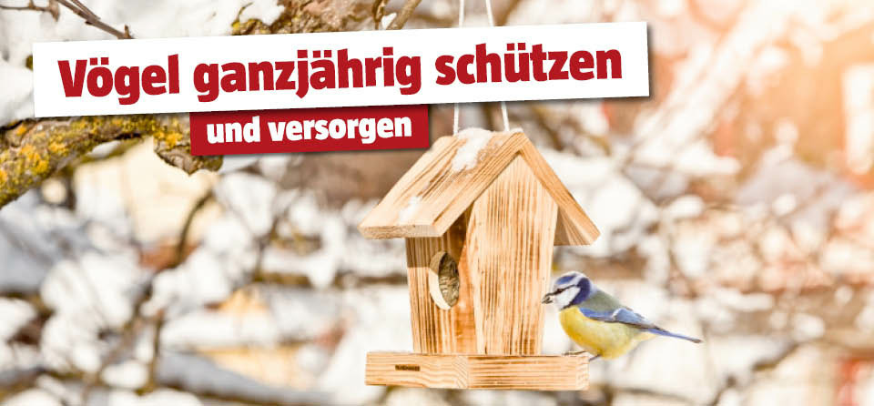 Vogelhaus