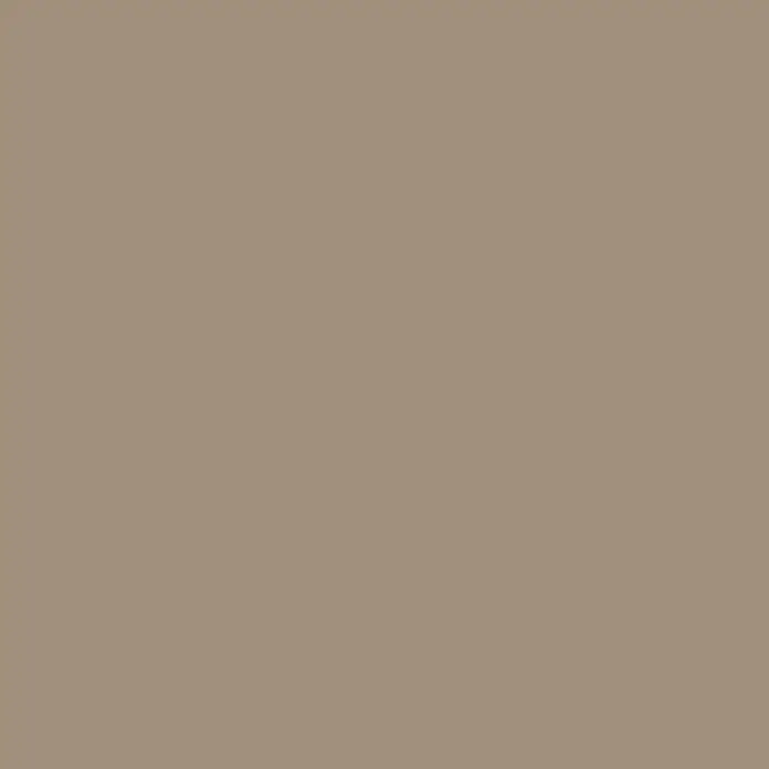 SCHÖNER WOHNEN-Farbe Wandfarbe Designfarbe - Warmes Erdbraun, Matt, 100 ml, Konservierungsmittelfrei - Einfarbiger Hintergrund in einem neutralen Beigeton, ideal für minimalistische Designs und als ruhige Basis für kreative Projekte.