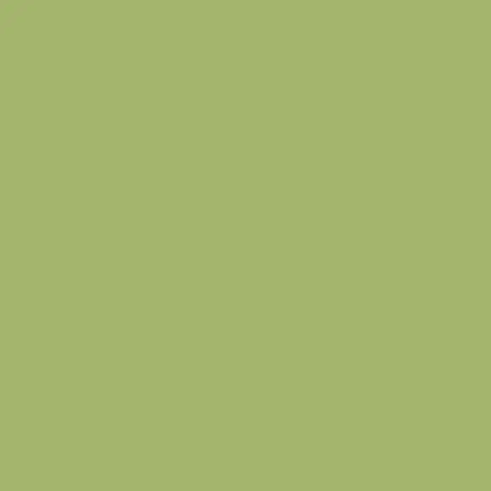 swingcolor Farbtester SIMPLY WohnraumfarbeGrün - Nr. 22, Matt, 50 ml - Einfarbige, sanfte, hellgrüne Fläche. Ideal für Hintergründe oder zur Farbgestaltung von Designs.