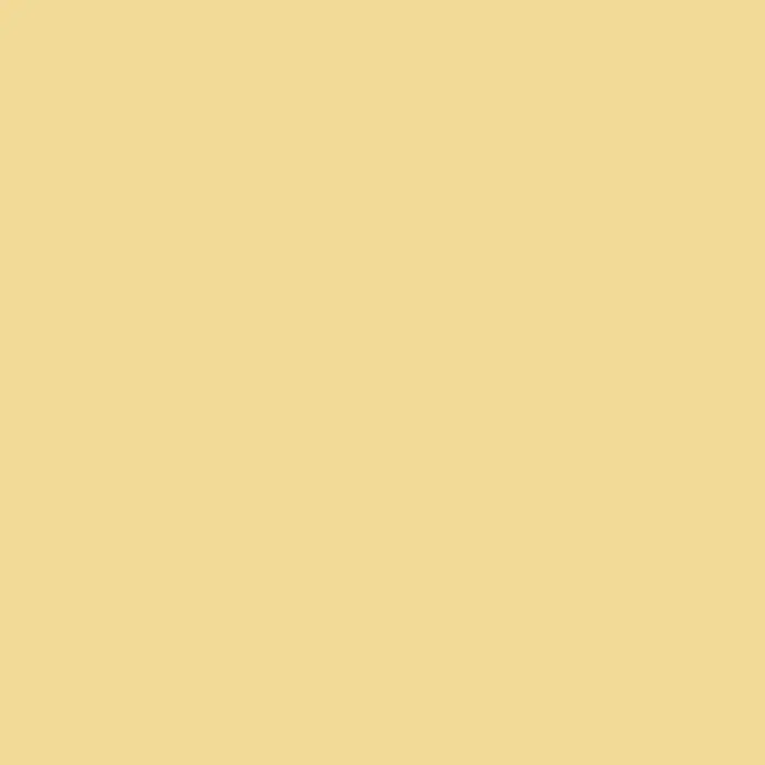 SCHÖNER WOHNEN-Farbe Wandfarbe Designfarbe - Freundliches Goldgelb, Matt, 100 ml, Konservierungsmittelfrei - Einfarbiger Hintergrund in einem hellen Gelbton, ideal für Designprojekte und als sanfte Farbfläche.