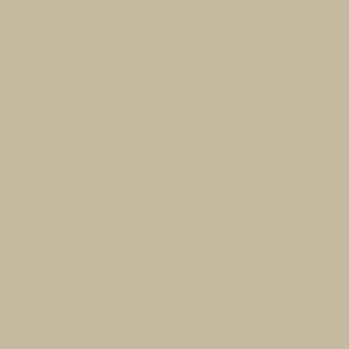 SCHÖNER WOHNEN-Farbe Wandfarbe Designfarbe - Verträumtes Wüstenbeige, Matt, 1 l, Konservierungsmittelfrei - Einfarbiger Hintergrund in einem sanften Beigeton, ideal für minimalistische Designs oder als ruhiger Basisfarbton.