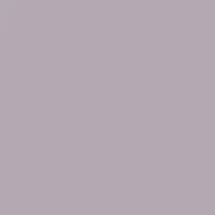 SCHÖNER WOHNEN-Farbe Wandfarbe Designfarbe - Elegantes Puderlila, Matt, 1 l, Konservierungsmittelfrei - Einfarbiger Hintergrund in einem sanften Grau-Lila-Ton, ideal für minimalistische Designs und als dezenter Farbakzent.