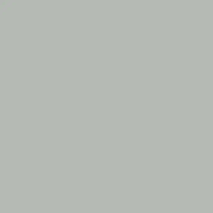 SCHÖNER WOHNEN-Farbe Wandfarbe Designfarbe - Harmonisches Jadegrün, Matt, 1 l, Konservierungsmittelfrei - Neutral grauer Hintergrund, ideal für Webdesign oder minimalistische Produktpräsentationen, bietet vielseitige Einsatzmöglichkeiten.