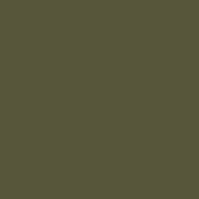 swingcolor Vollton- und Abtönfarbe Umbragrün