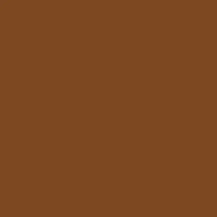 swingcolor Vollton- & Abtönfarbe - Moccabraun, Matt, 250 ml, Konservierungsmittelfrei - Braune Farbfläche, ideal als Hintergrund oder zur Farbgestaltung.