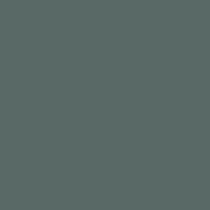 SCHÖNER WOHNEN-Farbe Wandfarbe DesignfarbeBesinnliches Waldgrün, Matt, 1 l, Konservierungsmittelfrei - Elegante, einfarbige Tapete in einem beruhigenden Grauton. Ideal, um jedem Raum eine stilvolle und moderne Atmosphäre zu verleihen, ohne aufdringlich zu wirken.