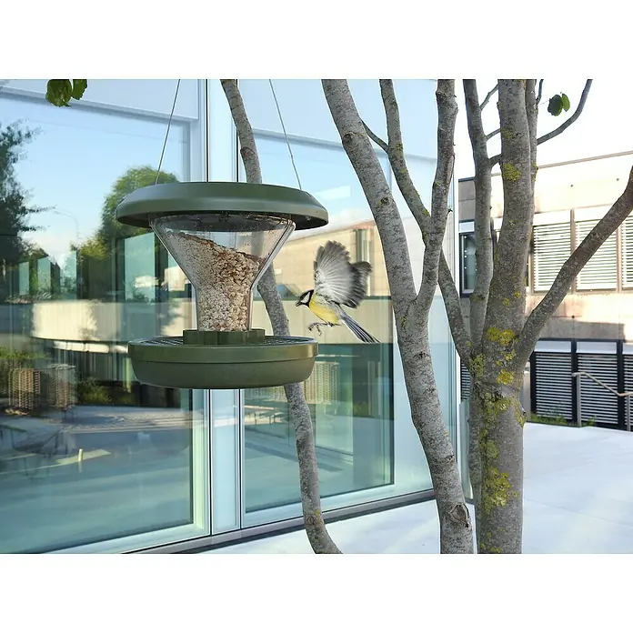Swissinno Futtersilo Smart Birds - Hellgrau - Nahaufnahme eines hängenden Vogelfutterspenders mit einem gefiederten Besucher, der sich dem Futter nähert. Eine idyllische Szene.