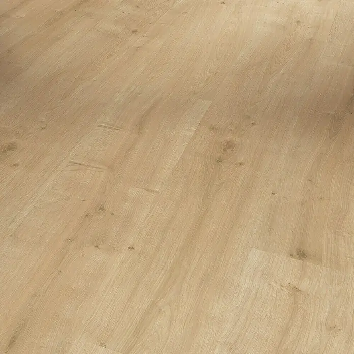 Parador Laminat Basic 400 - Eiche geschliffen, Landhausdiele, 1.285 x 194 x 8 mm - Eine Nahaufnahme von hellem Laminatboden. Das Laminat weist ein natürliches Holzmaserungsmuster auf.