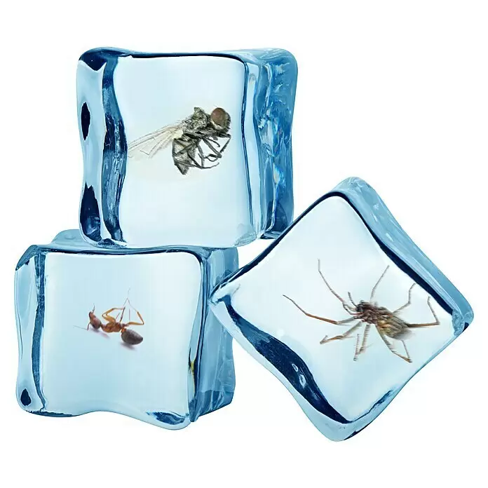 Swissinno Insektenschutz Frostspray - 400 ml - Drei blaue Eiswürfel, jeder mit einem anderen Insekt: einer Fliege, einer Ameise und einer Spinne.